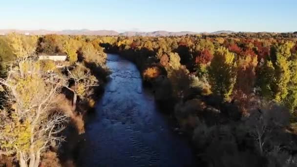 Alto Punto Vista Sul Fiume Blu Con Alberi Colore Caduta — Video Stock