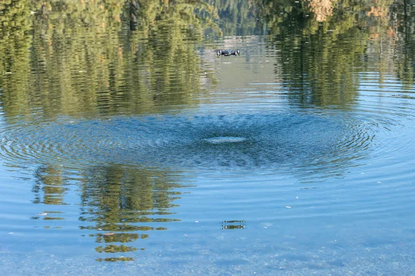 Formas Texturizadas Dron Agua Froma Volando Sobre Cabeza — Foto de Stock