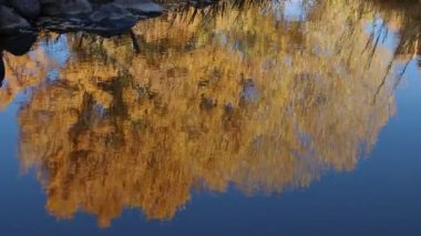 Sakin bir gölette sonbahar rengindeki kavunların baş aşağı yansıması