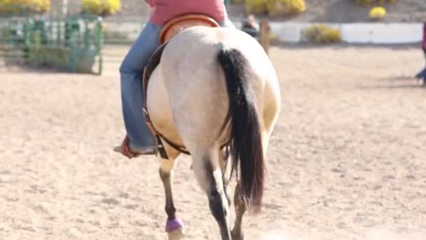 Palomino Horse Strides Away Wearing Boots Slow Motion Windy Dust — Stock Video