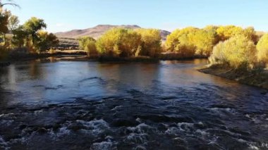 Güzel nehir sahnesi yavaş çekim suları sonbahar mevsiminde akıntıya dönüşür.