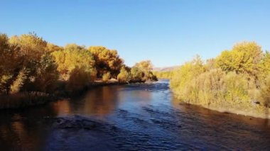  Truckee Nehri üzerinde İHA uçuşu ve Reno NV 'nin doğusunda sonbahar renklerinde ağaçlar