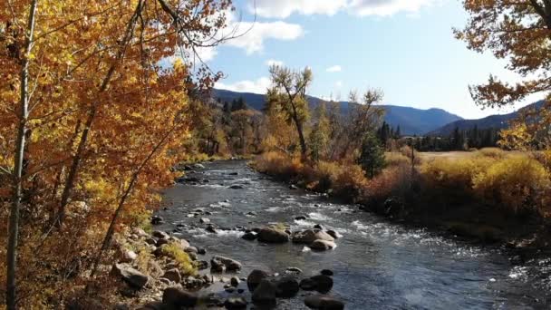 Río Que Fluye Través Rocas Más Allá Los Árboles Brillante — Vídeos de Stock