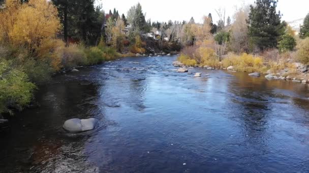 Water Flowing Downstream Slow Motion Red Orange Yellow Trees Banks — Stock Video