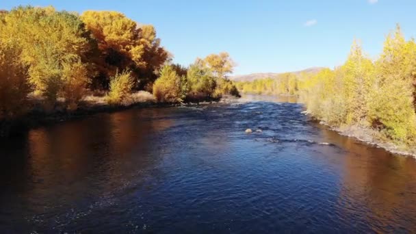 Drone Vlucht Stroomopwaarts Een Rivier Met Herfstkleur Weerspiegeld Water — Stockvideo