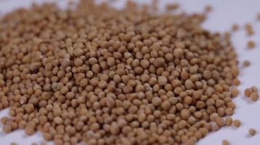 Makro görünüm beyaz üzerine kurutulmuş hardal tohumu.