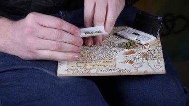 Yavaş hareket eden eller öğütülmüş marihuana çiçeğini rulo kağıda döküyor.