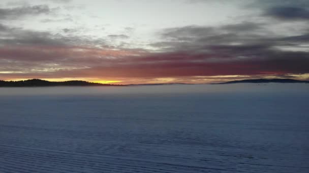 Drone Video Flight Forward Snowy Plowed Fields Inversion Fog Bank — Stok video