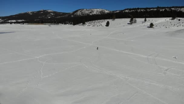 Drone Video Fly Forward Person Cross Country Skiing Snowy Terrain — Wideo stockowe