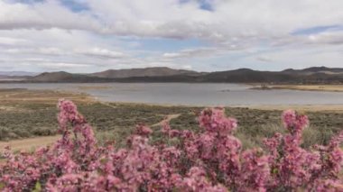 Time lapse rolling clouds over a mountain range by a lake surrounded by desert area with out of focus desert peach in foreground