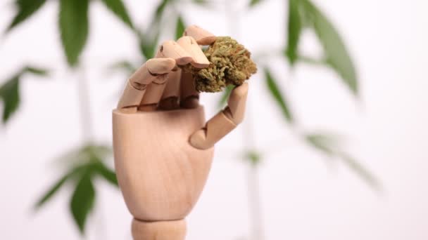 Wooden Articulating Hand Holding Cannabis Bus Rotates Focus Background Defocused — Stock Video