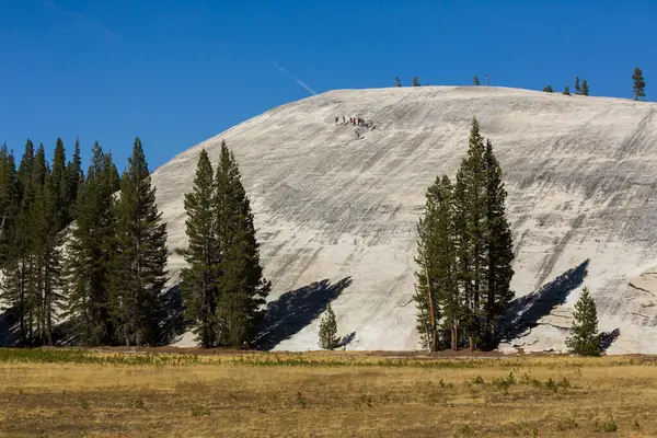 Grupo Pessoas Clonando Lado Uma Face Rocha Yosemite — Fotografia de Stock