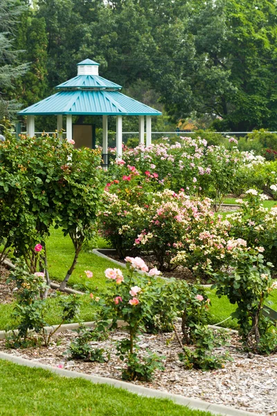 Gazebo Verde Borda Jardim Rosas Flor Fotos De Bancos De Imagens