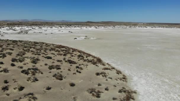 降落在内华达沙漠靠近法隆的盐滩上 — 图库视频影像