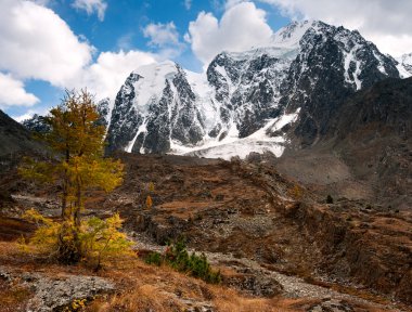 Altay sonbahar Vadisi