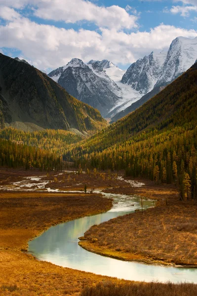 Altay sonbahar Vadisi