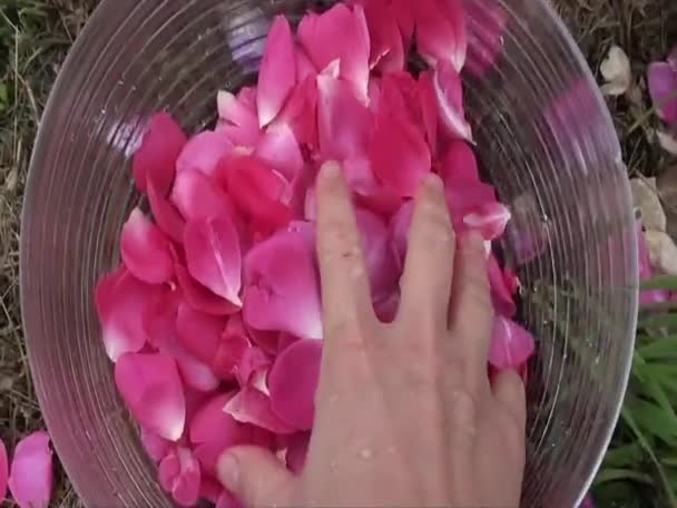 Chica toca pétalos de rosas. Concepto Spa . — Vídeo de stock