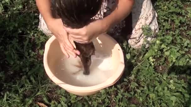Молода дівчина миє довге волосся в таз у дворі — стокове відео