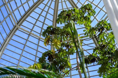 Küresel parlak bir ampulün yakın çekimi, parlak lifini karanlık bir arkaplanda sergiliyor. Şeffaf cam, karmaşık bobin dizaynını ortaya çıkararak sıcak ve çevresel bir ışık yayıyor. Ampul kısmen bir armatürle bağlantılı.