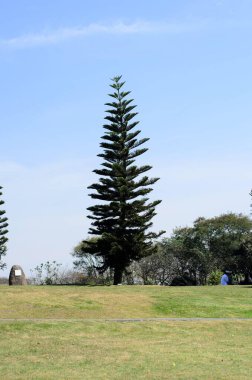 Küresel parlak bir ampulün yakın çekimi, parlak lifini karanlık bir arkaplanda sergiliyor. Şeffaf cam, karmaşık bobin dizaynını ortaya çıkararak sıcak ve çevresel bir ışık yayıyor. Ampul kısmen bir armatürle bağlantılı.