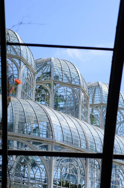 Küresel parlak bir ampulün yakın çekimi, parlak lifini karanlık bir arkaplanda sergiliyor. Şeffaf cam, karmaşık bobin dizaynını ortaya çıkararak sıcak ve çevresel bir ışık yayıyor. Ampul kısmen bir armatürle bağlantılı.