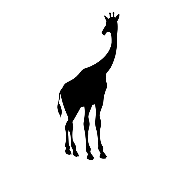 Żyrafa czarna sylwetka wektor ilustracja na białym tle — Wektor stockowy