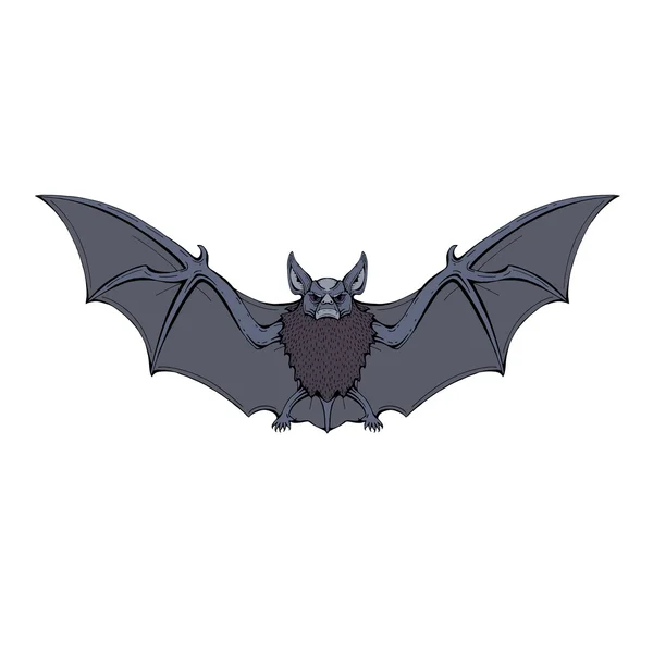 Zlý netopýr přední kreslený, samostatný — Stockový vektor