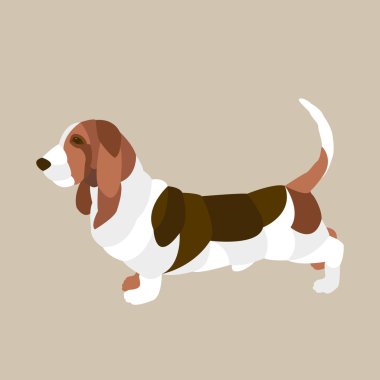 Basset hound düz stil vektör 