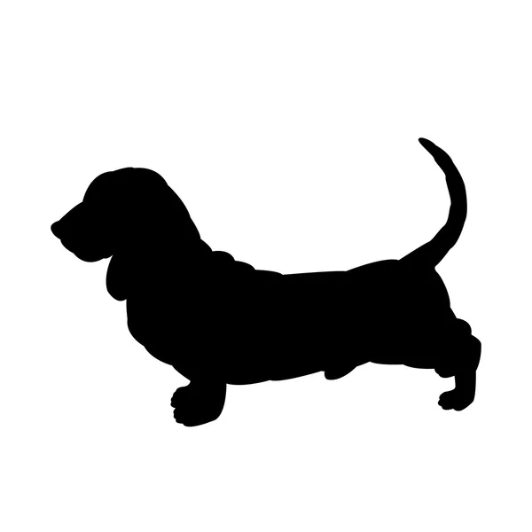 Basset hound vector ilustración negro — Vector de stock