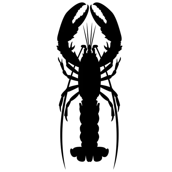 Vektor crayfish mengilustrasikan siluet hitam - Stok Vektor