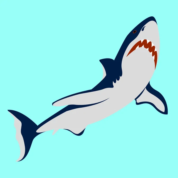 Style d'illustration vectoriel couleur requin Plat — Image vectorielle