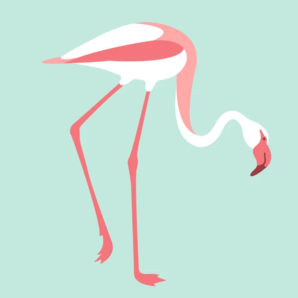 粉红色的火烈鸟矢量图 — 图库矢量图片