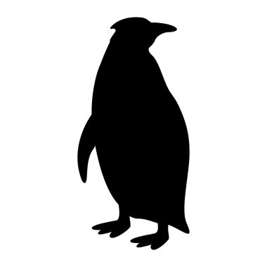 Penguen vektör izole siluet