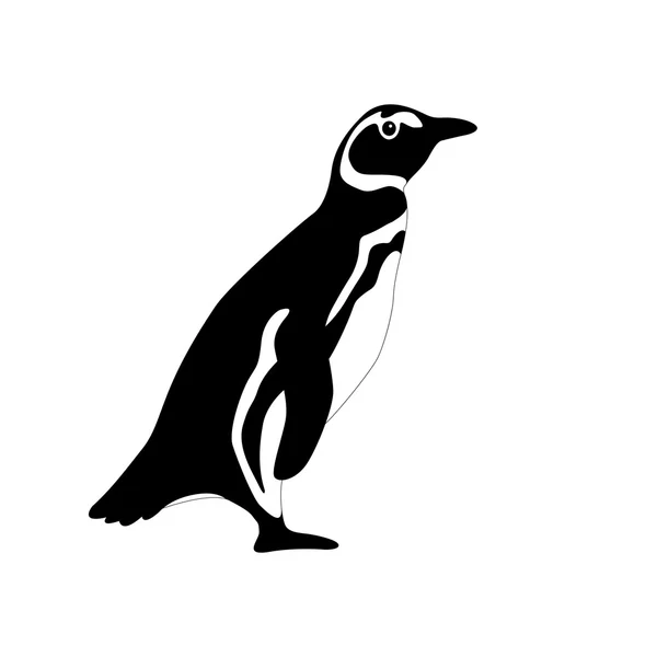 Ilustración de vectores de pingüinos aislados Flat Style — Vector de stock