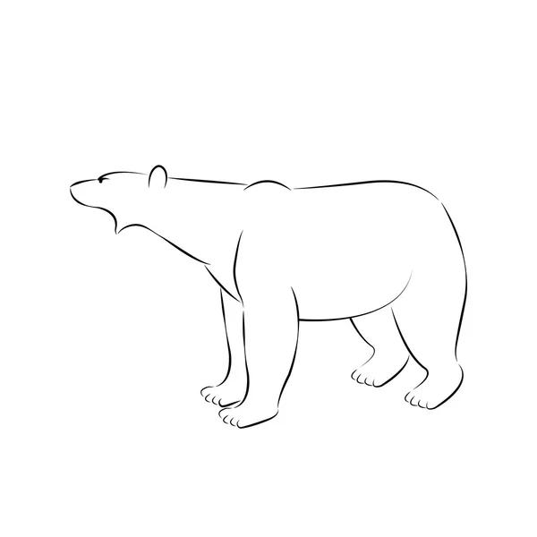 Urso polar ilustração vetorial em pé — Vetor de Stock