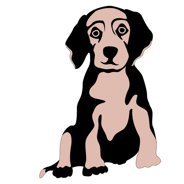 Filhote de cachorro vetor ilustrationflat estilo frontal — Vetor de Stock