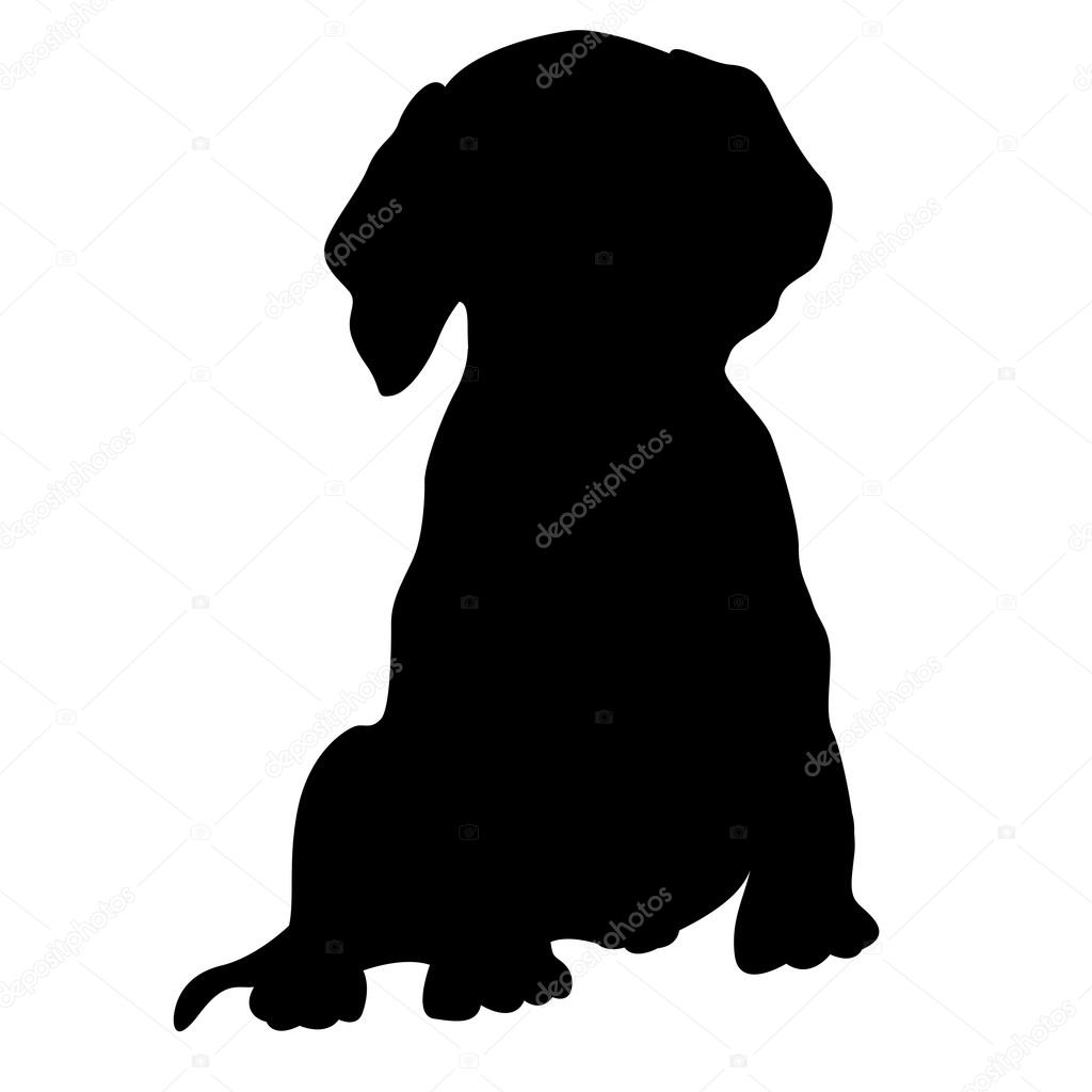 Filhote De Cachorro Vetor Ilustracao Isolado Silhueta Preta Vetor De Stock C Wectors 123049718