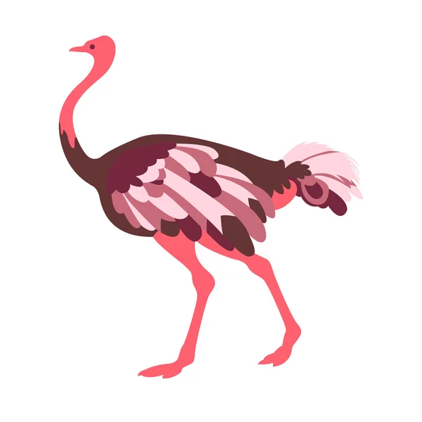 Adulto avestruz vetor ilustração estilo Flat — Vetor de Stock