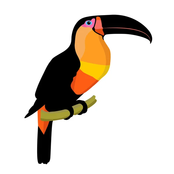 Estilo Flat ilustração vetorial do pássaro Tucano —  Vetores de Stock