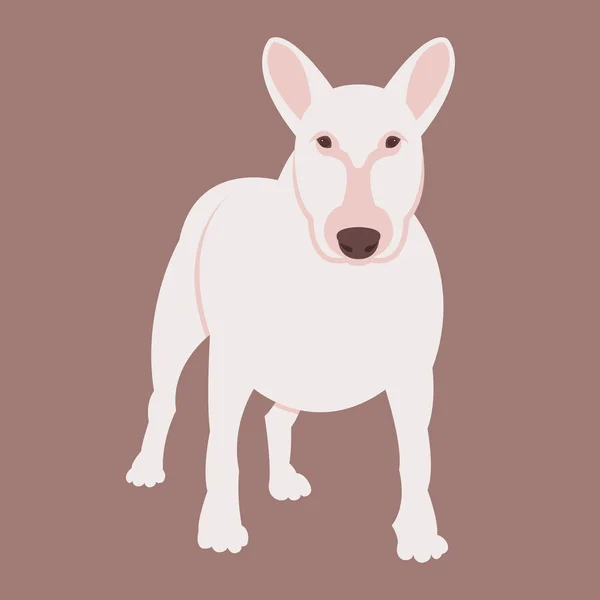Bull terrier pies wektor ilustracja styl płaskim — Wektor stockowy