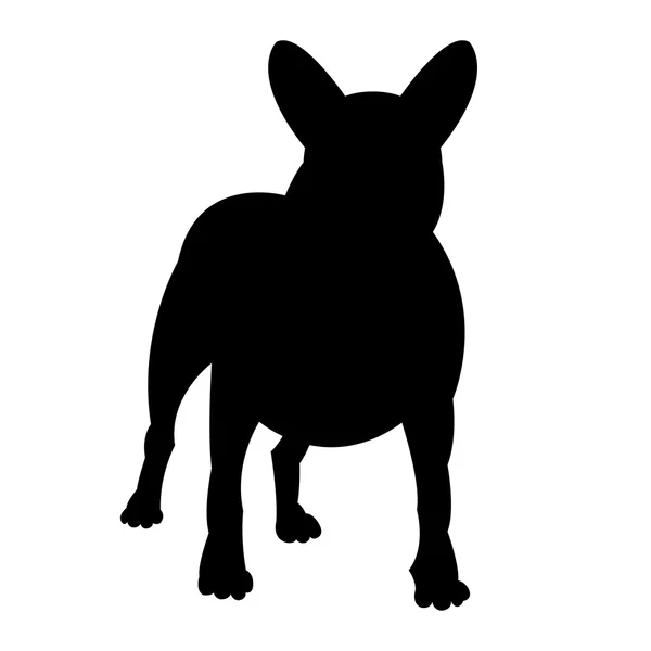 Bull terrier pies wektor ilustracja czarny zarys — Wektor stockowy