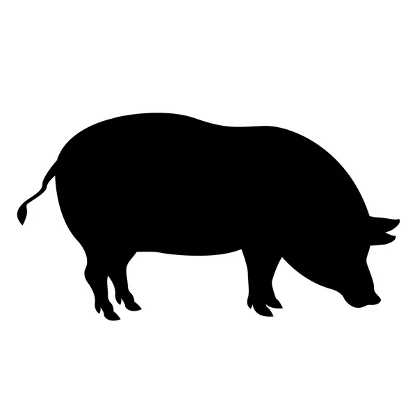Pig Vector realistische Silhouette schwarz — Stockvektor