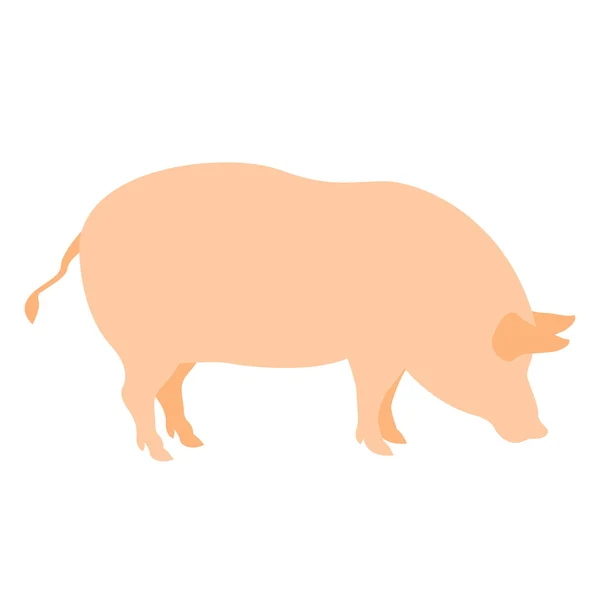 Schwein Vektor realistisch flachen Stil — Stockvektor