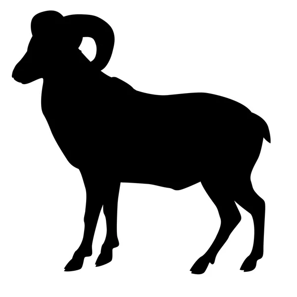 Silueta vectorial negro carnero salvaje — Vector de stock
