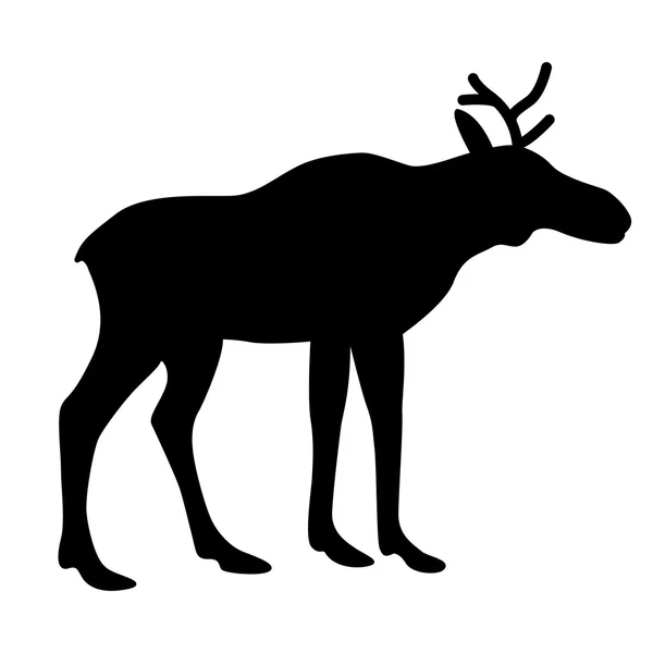 Young elk vector black silhouette — Stock Vector