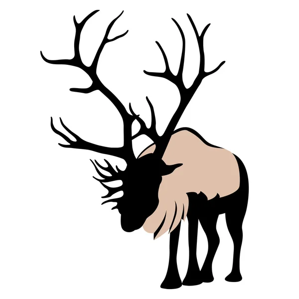 Northern deer vector style Flat — Stock Vector