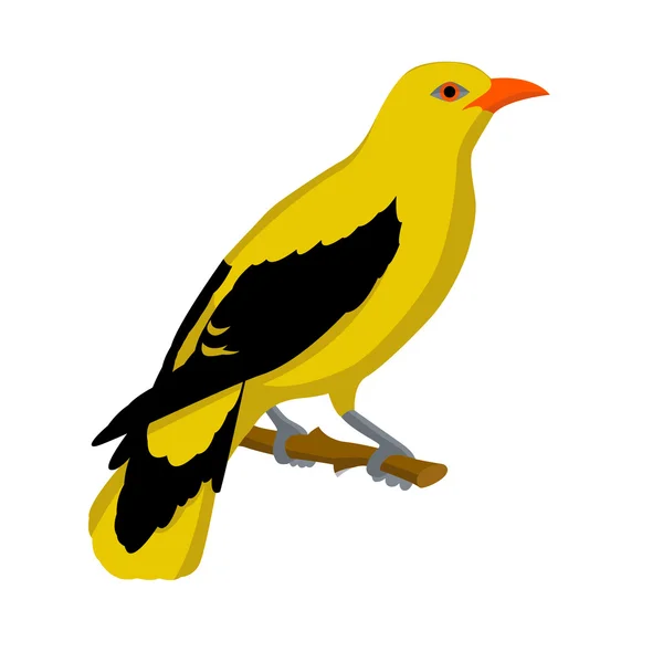 Wielewaal vogel vector stijl Flat — Stockvector