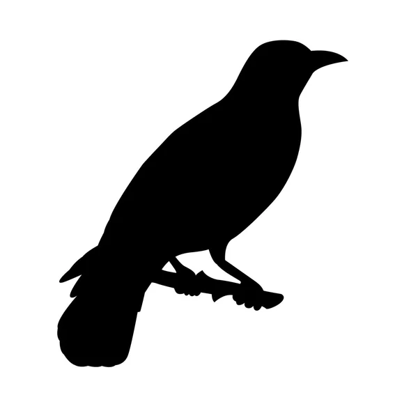 Wielewaal vogel vector silhouet zwart — Stockvector