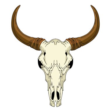 Boğa baş kafatası vektör çizim