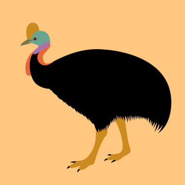 Cassowary kuş vektör çizim tarzı düz 
